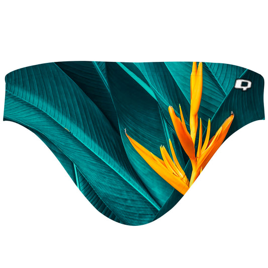 Tropical Nature - Bandeau Bikini Bottom